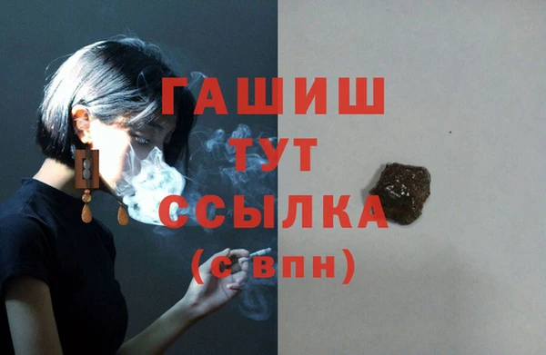 гашик Алексин