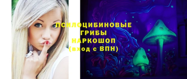 гашик Алексин