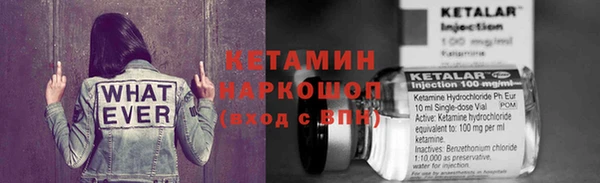 гашик Алексин