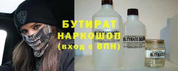 гашик Алексин