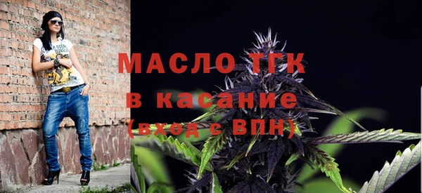 гашик Алексин