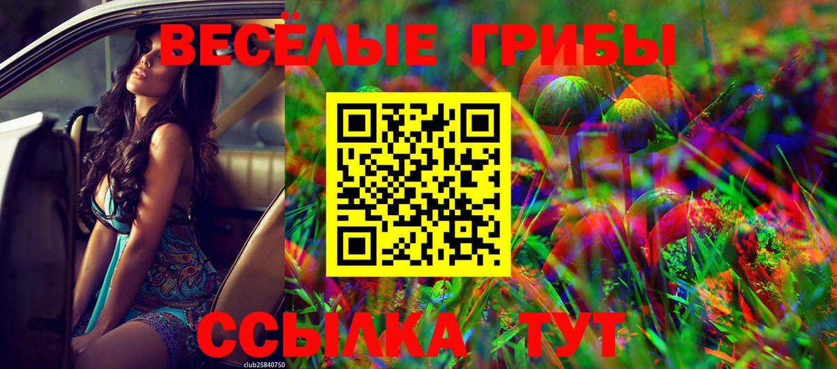 где можно купить   Псилоцибиновые грибы мицелий  Вход с VPN  Павлово  Псилоцибиновые грибы ЛСД 